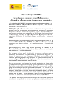 Investigan en pulmones bioartificiales como alternativa a la escasez