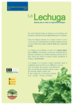Lechuga