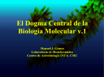 El Dogma Central de la Biología Molecular v.1