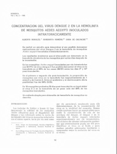 CONCENTRACION DEL VIRUS DENGUE 2 EN LA HEMOLIMFA DE