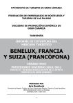 Informe Mercados del Benelux y Francia verano 2010