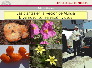 Los nombres de las plantas