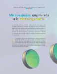 Microespejos: una mirada a la microingeniería