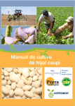 Manual de cultivo de frijol caupi