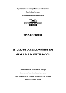 TESIS DOCTORAL ESTUDIO DE LA REGULACIÓN DE LOS