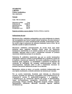 OCUBIOTIC LABYES Colirio antibiótico