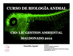 curso de biología animal - Eva