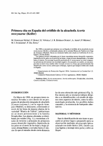 Primera cita en España del eriófido de la alcachofa Aceria neocynarae