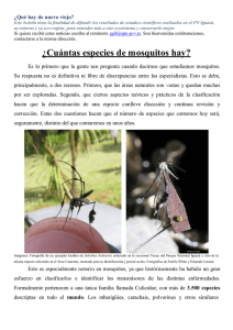 ¿Cuántas especies de mosquitos hay?