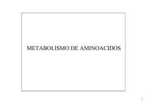 METABOLISMO DE AMINOACIDOS