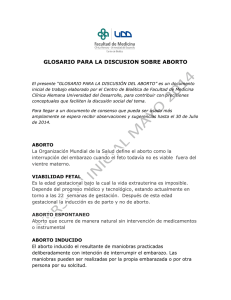 glosario para la discusión del aborto