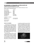 Los retinoides en el desarrollo y la diferenciación del embrión