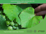 Diapositiva 1 - Comité Estatal de Sanidad Vegetal de Sonora
