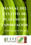 manual del cultivo de plátano de exportación