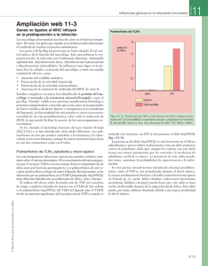 11-3 - StudentConsult.es