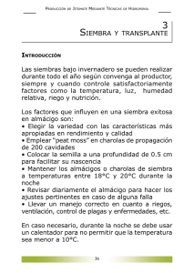 Siembra y cransplante