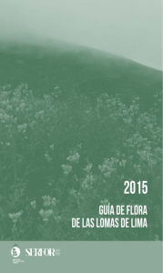 Guía de Flora de las Lomas de Lima (PDF Available)