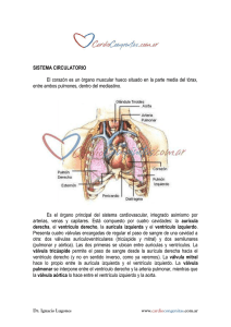 Descargar PDF - CardioCongénitas