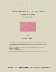 Sistema cardiovascular