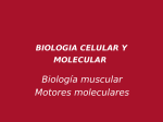 Molecular Biology of the Cell - Biología Celular y Molecular