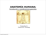 anatomía humana - TramixSakai ULP