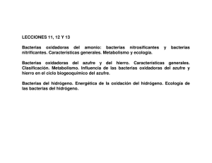Bacterias oxidadoras del azufre - Mi portal