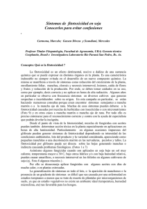 Problemas de fitototoxicidad