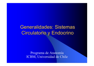 Generalidades: Sistemas Circulatorio y Endocrino - U