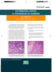 un problema latente, la enfermedad de gumboro