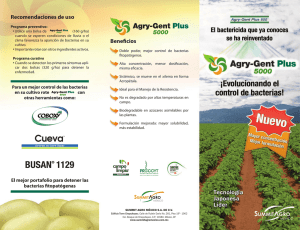 Recomendaciones de uso Beneficios