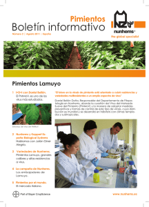 BOLETIN TRIM NUNHEMS_3TRI_ok.indd