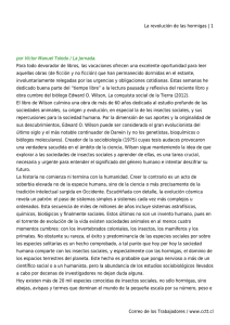 La revolución de las hormigas | 1 Correo de los Trabajadores / www