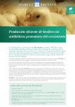 Producción eficiente de broilers sin antibióticos promotores del