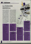 la función hepática - Quiromasajistas.net