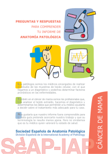 folleto_21_9_2011 imprenta.FH11