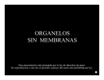 ORGANELOS SIN MEMBRANAS