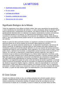 la mitosis - Uruguay Educa