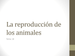 La reproducción de los animales - 1º Bach. SEK