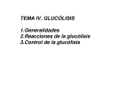 TEMA IV. GLUCÓLISIS 1.Generalidades 2.Reacciones de la
