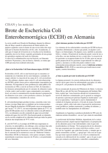 Brote de Escherichia Coli Enterohemorrágica (ECEH) en Alemania