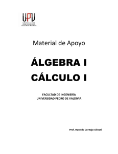álgebra i cálculo i - Portal Estudiante UPV
