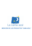 Informe - La Cama Azul