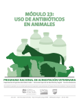 módulo 23: uso de antibióticos en animales