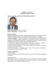 curriculum vitae - Comunidad Andina