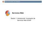 Servicios Web - Experto Java