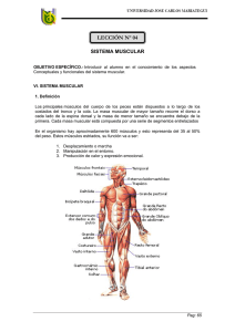 Lección 04: Sistema Muscular.