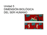 Unidad 5 DIMENSIÓN BIOLÓGICA DEL SER HUMANO