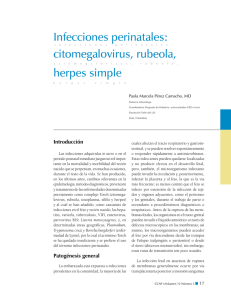 Infecciones perinatales: citomegalovirus, rubeola, herpes simple