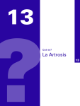 La Artrosis