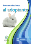 Recomendaciones al adoptante de conejos